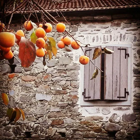 Ai Chiosi Affittacamere Pontremoli Buitenkant foto